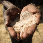 photoessay-ethiopia-drought-hm1_5452mp
