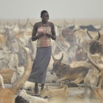 A Dinka woman walks among cattle in a village in South Sudan