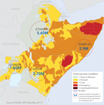 Drought in the Horn of Africa | ACT Alliance