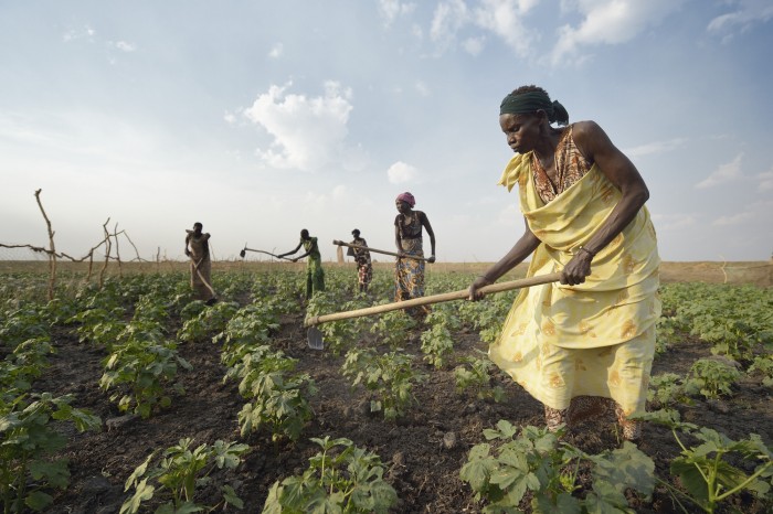 Adhieu Deng Ngewei and other women work together on April 12, 2017, in a community vegetable garden in Dong Boma, a Dinka village in South Sudan's Jonglei State. Most of the women's families recently returned home after being displaced by rebel soldiers in December, 2013, and they face serious challenges in rebuilding their village while simultaneously coping with a drought which has devastated their cattle herds. The Lutheran World Federation, a member of the ACT Alliance, is helping the villagers restart their lives with support for housing, livelihood, and food security. South Sudan