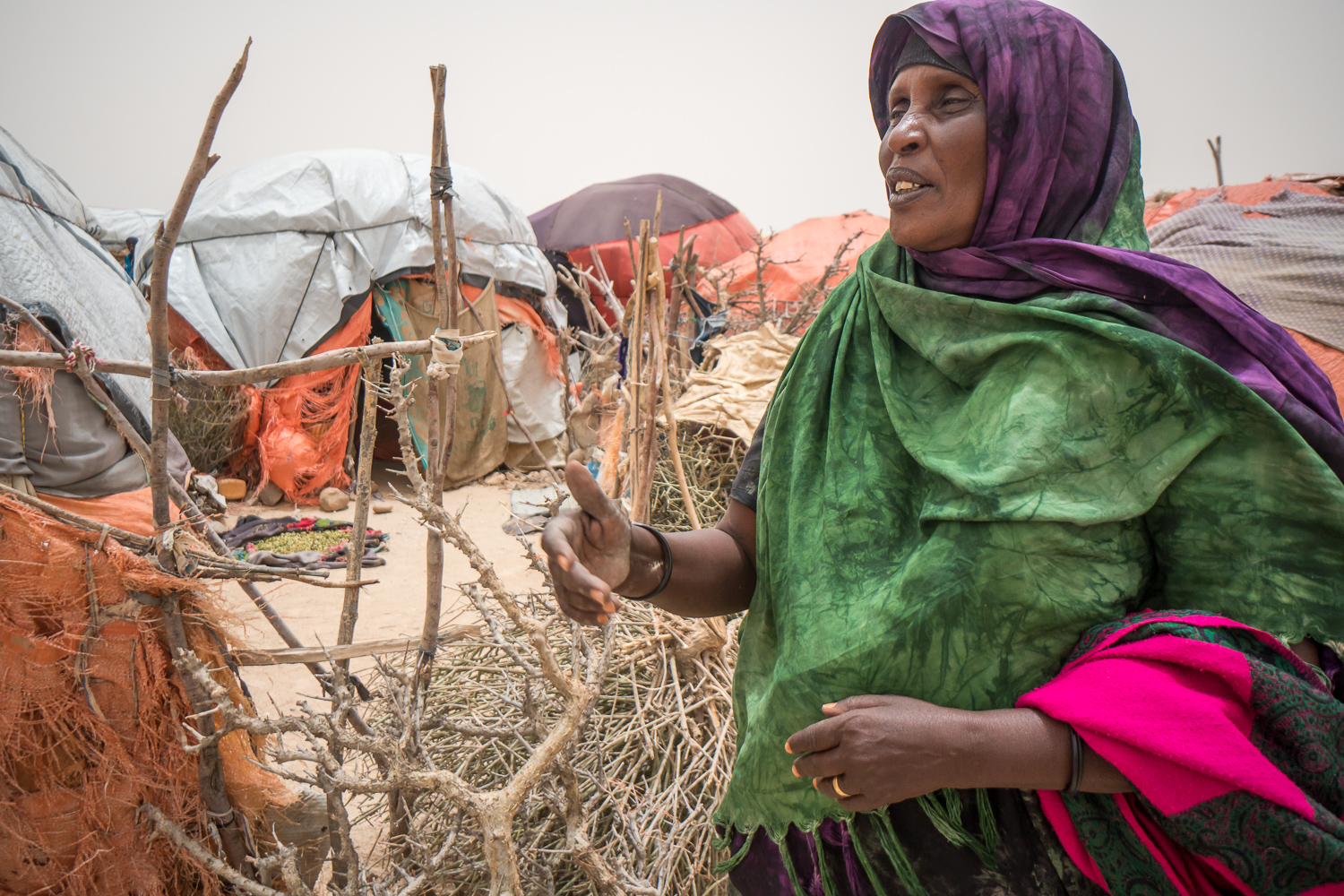 Drought Crisis in Somalia: More coordination is needed to face upcoming ...