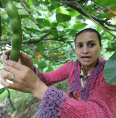 ACT, WCC and WCRC congratulate Colombia on appointment of four women to peace negotiation team